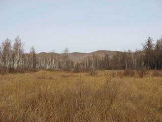 #1: North view