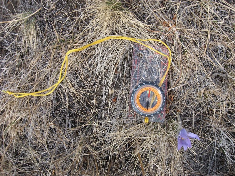 Стрелка показывает север, а вергулька - юг/Arrow points to the North, flower points to the South