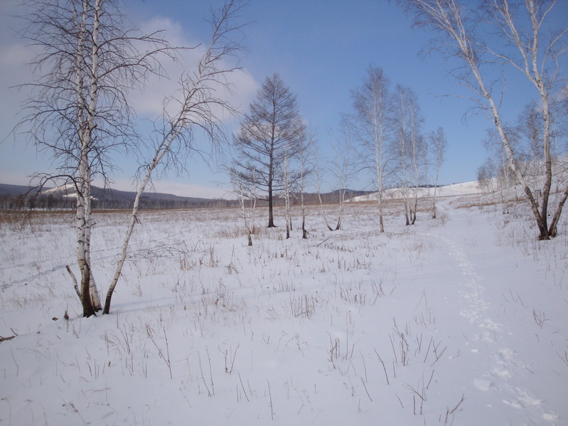 Вид в сторону точки/Towards the confluence