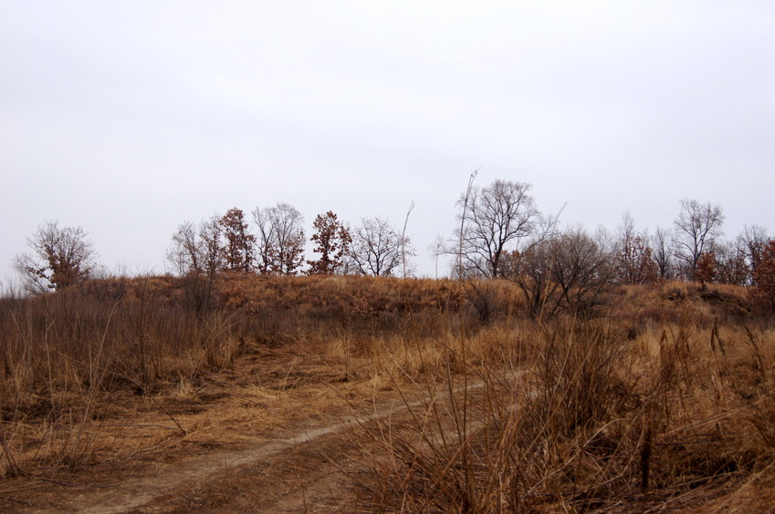 На Север/Looking North