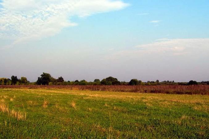 East