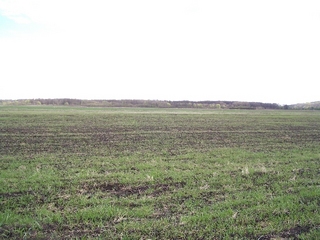#1: General view. About 40 meters