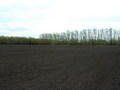 #4: View to the South
