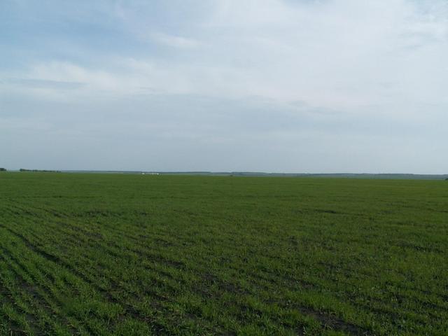 View to South