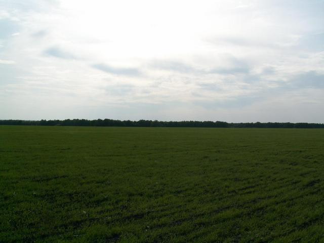 View to West