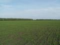 #3: View to East