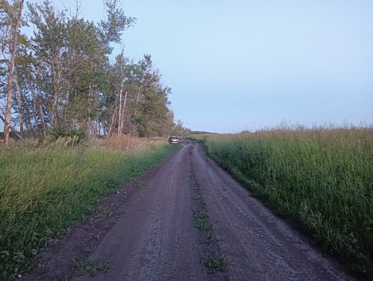 The regional border on the road 