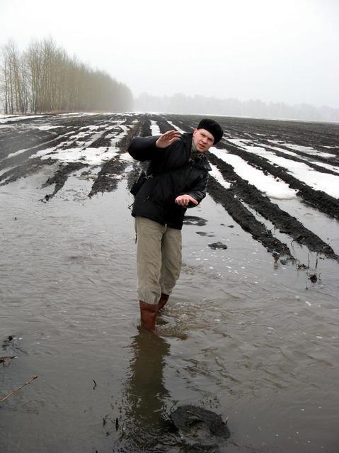 Spring in Russian field