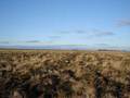#2: North view