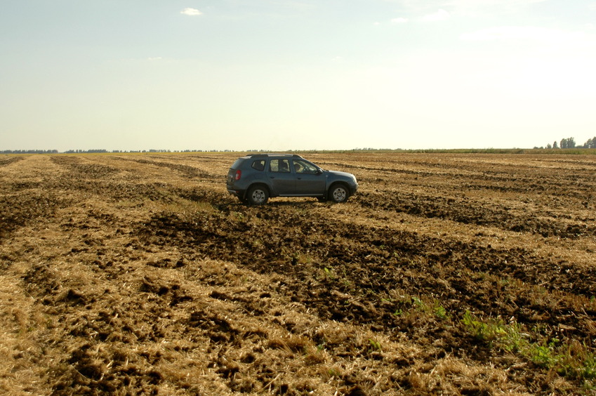 Parking on the field