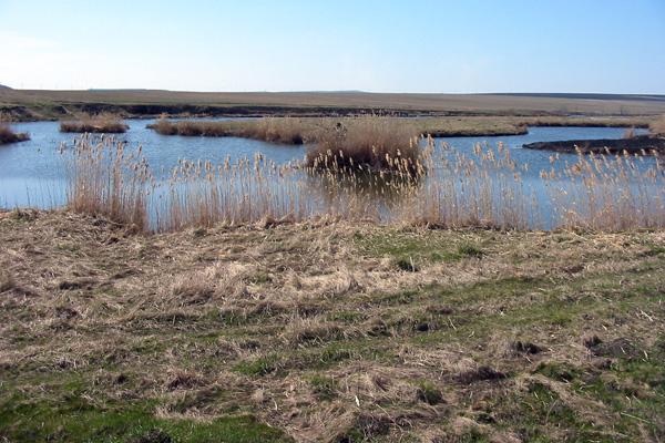 Chardym river