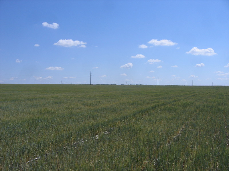 View to the east