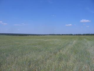 #1: View to the west