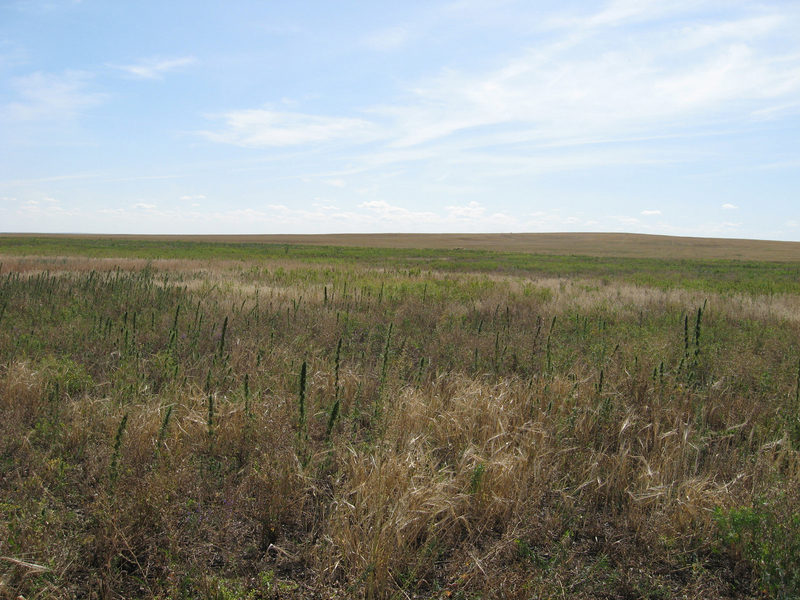 South view
