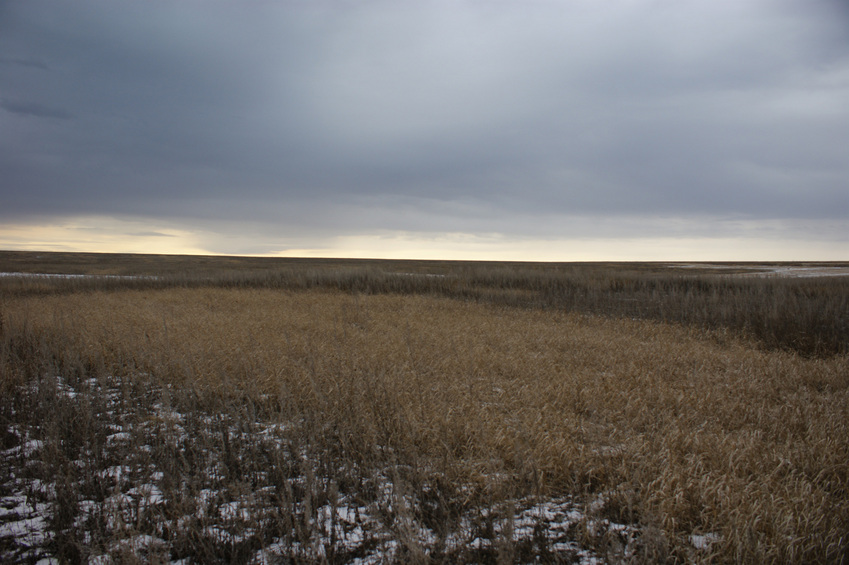 Вид на юг/South view