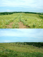 #8: Дорога к цели (снизу - конфлюенция на перевале)/Towards the target (at the pass at lower shot)