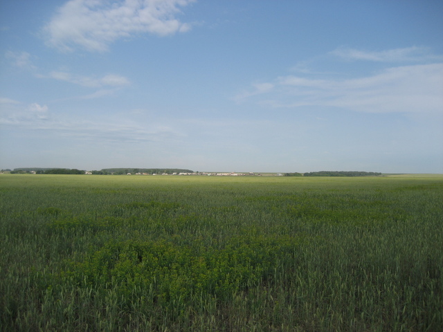 View to the West. Yakovlevka settlement is on background