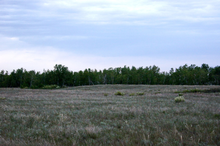 На север / Facing North