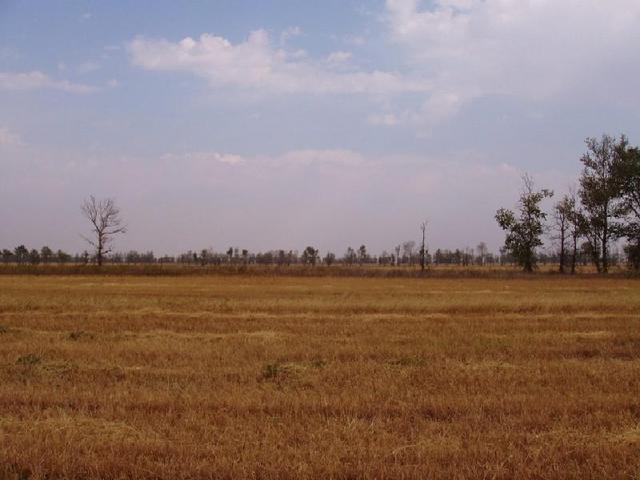 Looking from the confluence North.