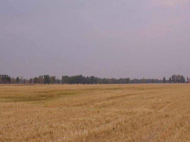 Looking from the confluence West.