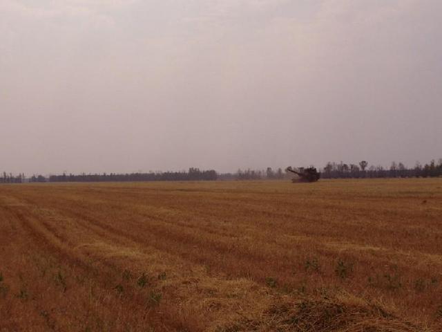 Looking from the confluence East.