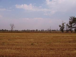 #1: Looking from the confluence North.