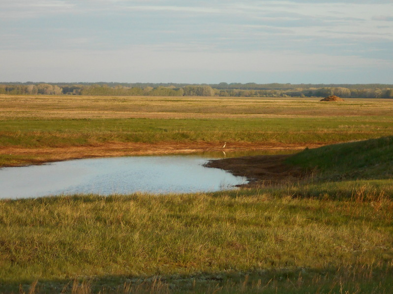 Водоём / Water reservoir