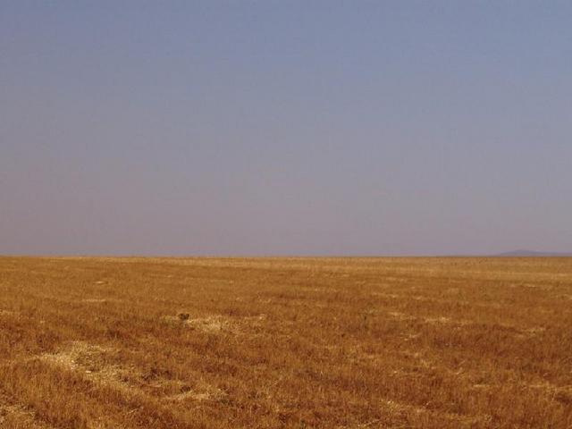 Looking from the confluence South.