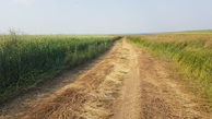 #7: approach using a farm track