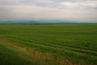 #7: Biysk plain in front of Altai mountains