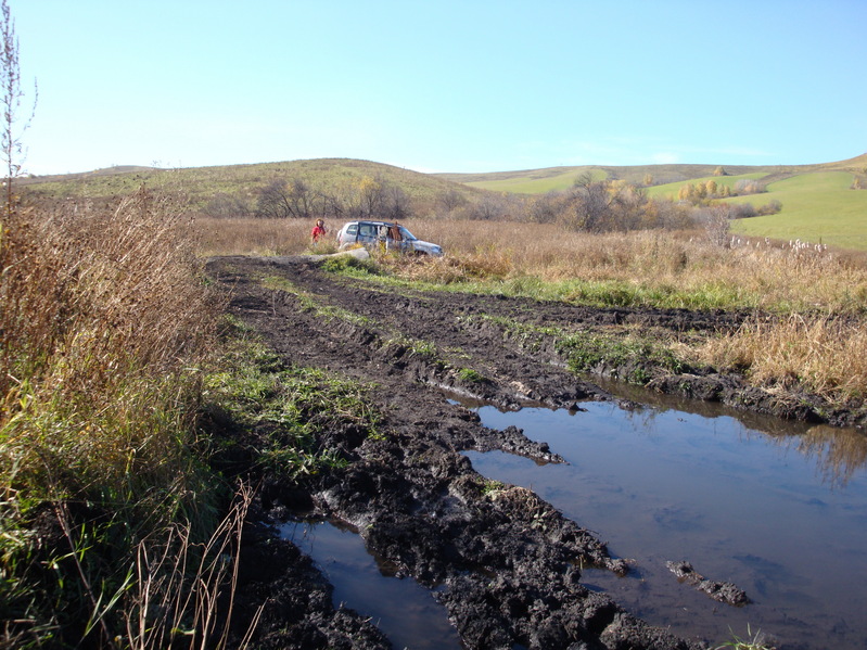 Грязевая лужа/Mud puddle