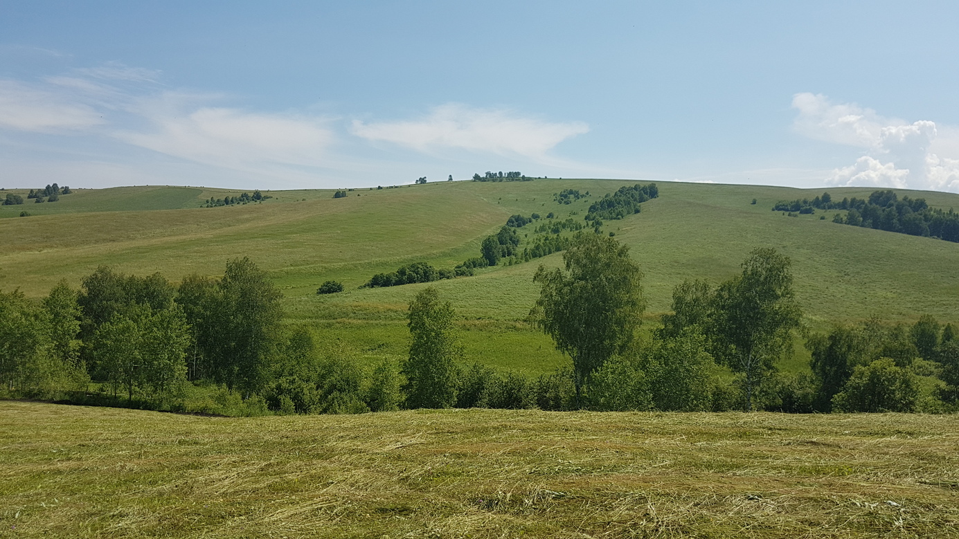 #2 East: trees along reka Tatarya