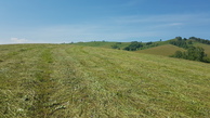 #4: #4 West: mown meadows at hill of the Stamovoy range