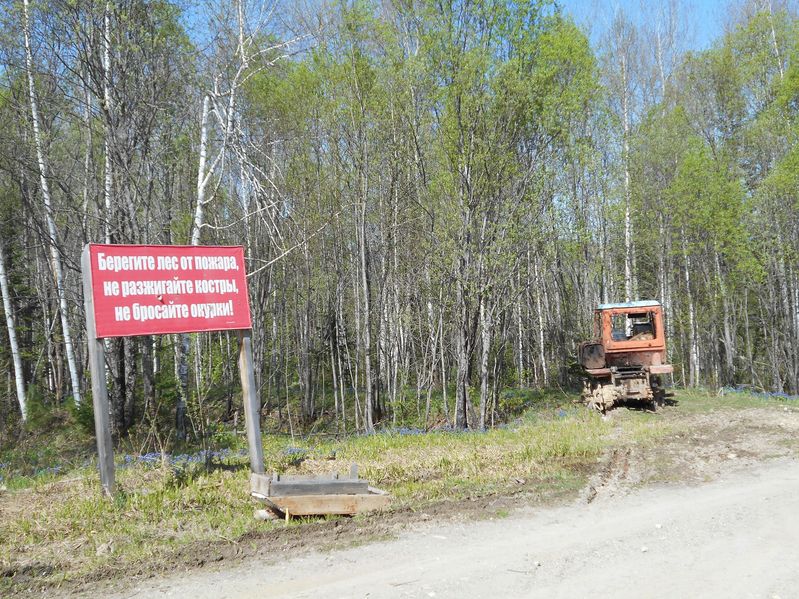 Без коментариев/No comments ("Protect the forest against the fire")