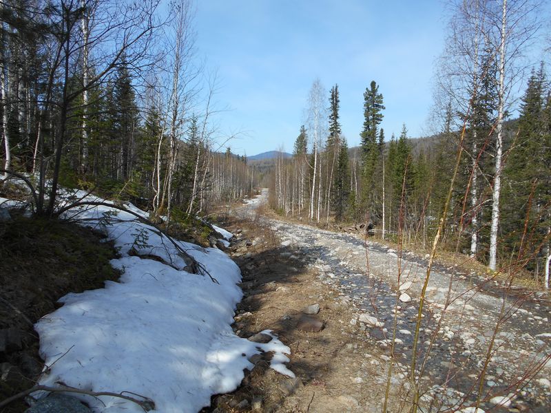 Лесовозная дорога/Logger's road
