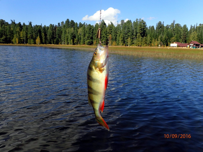 Fishing on the lake