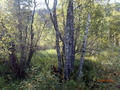 #4: Looking South