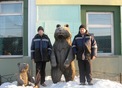 #6: Ulan-Ude city. Bears/Улан-Удэ. Медведи