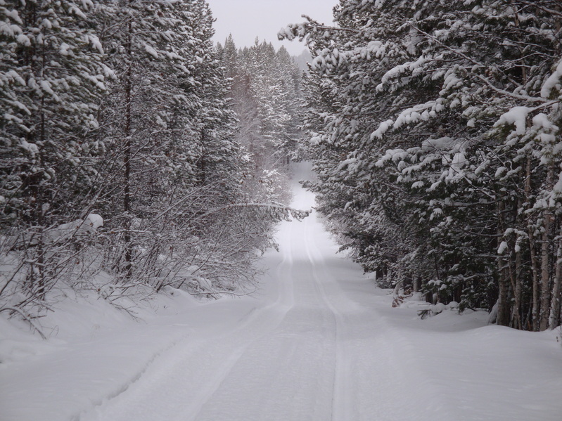 Повезет ли выбраться из зимней сказки?/Could I get out from winter Fairyland?