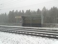 #8: о.п. "Таежный" / Taiozhnyy railway station