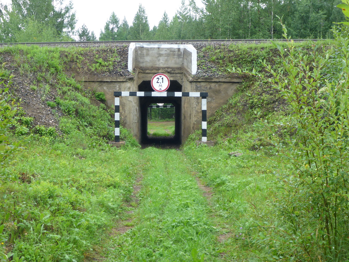 Tunnel