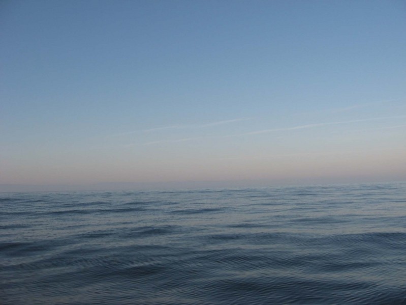 South view