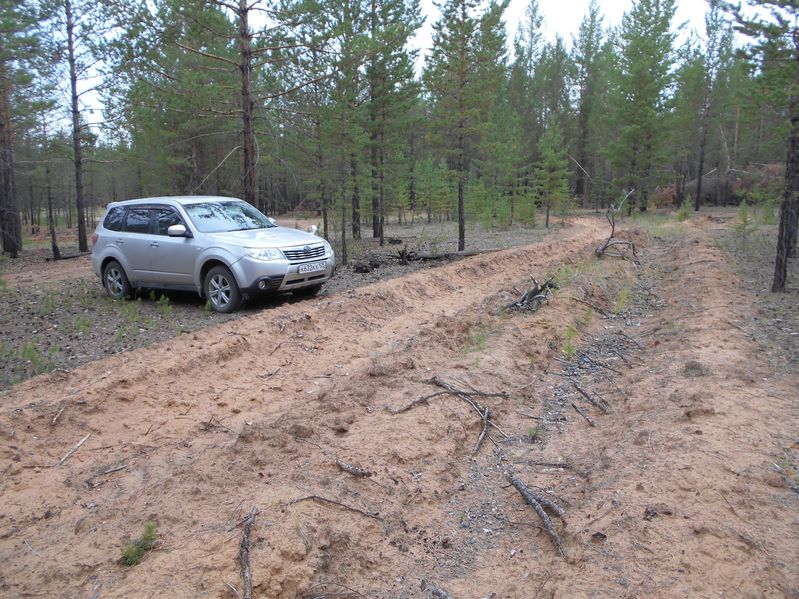 Приехал, дальше пешком / End of driving, further afoot