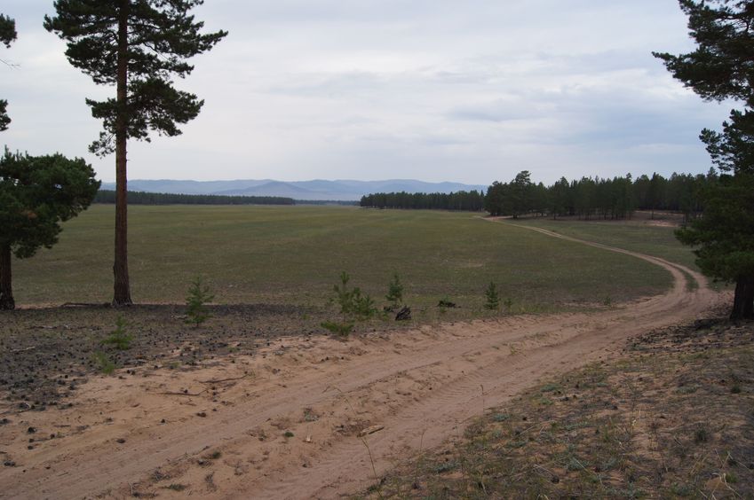 Местный пейзаж / Local scenery