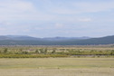 #3: Вид в сторону пересечения с дороги Кижинга–Хоринск (13.5 км) / View towards the confluence (13.5 km) from Kizhinga–Khorinsk road