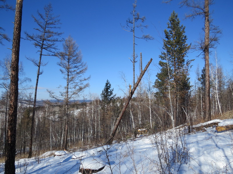 General view to the confluence / Вид на точку