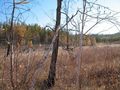 #3: Вид на Восток/East view