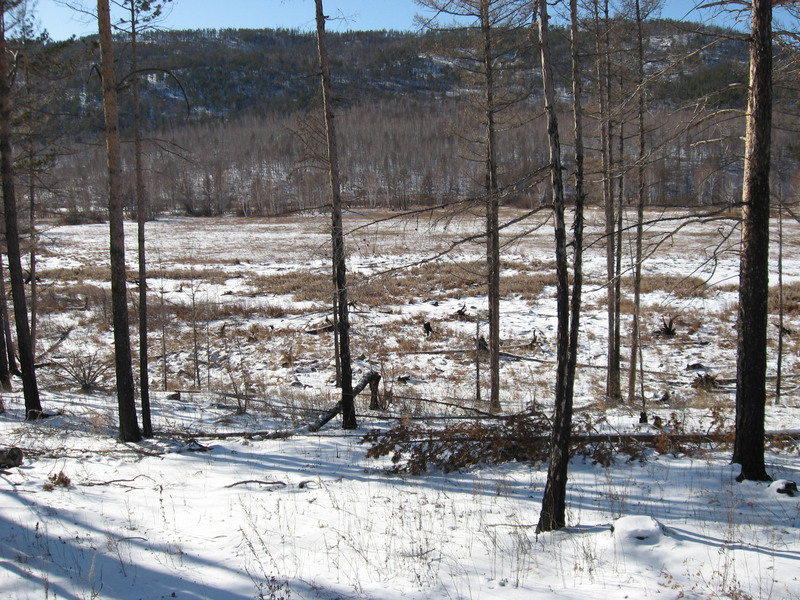 Общий вид/General view