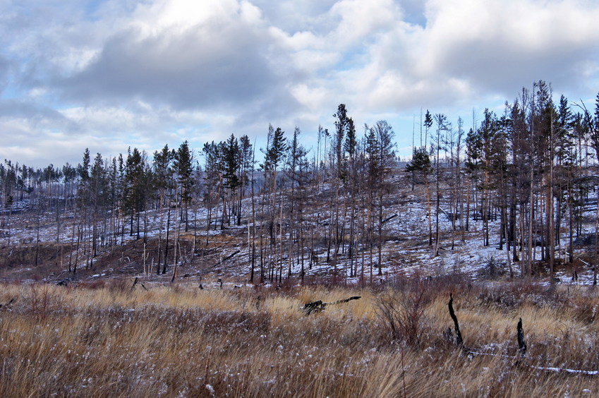 На Север/Looking North