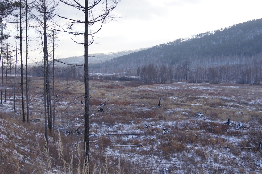 Вид с дороги на место с пересечением/Confluence view from the road